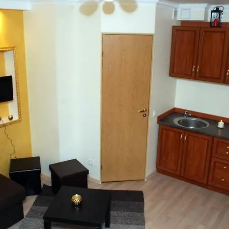 Studio On Tehnika 19 Apartment