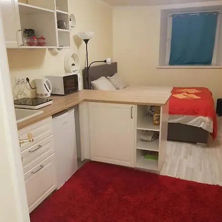 Studio On Tehnika 19 Lägenhet Tallinn